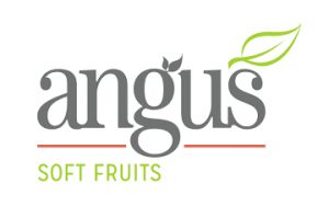 Angus Soft Fruit Logo