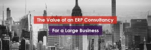 The Value of ERP Consultancy for a Large Business Header Image