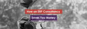 How an ERP Company Saves You Money Header Image