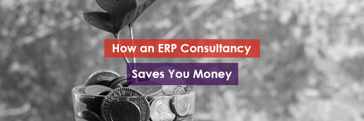 How an ERP Company Saves You Money Header Image