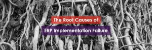 The Root Causes of ERP Implementation Failure Header Image