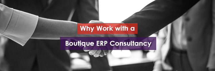 Why Work with a Boutique ERP Consultancy Header Image