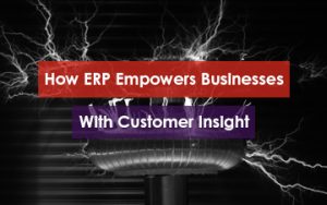How ERP Empowers Businesses with Customer Insight Featured Image
