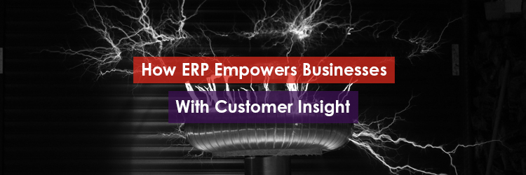How ERP Empowers Businesses with Customer Insight Header Image