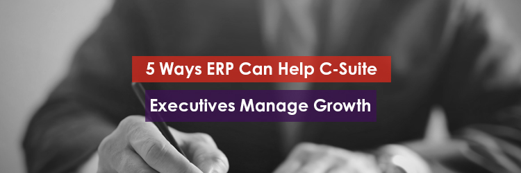 5 Ways ERP Can Help C-Suite Executives Manage Growth Header Image